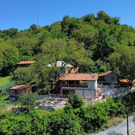 Sadmeli Winery Hotel Ambrolauri Kültér fotó