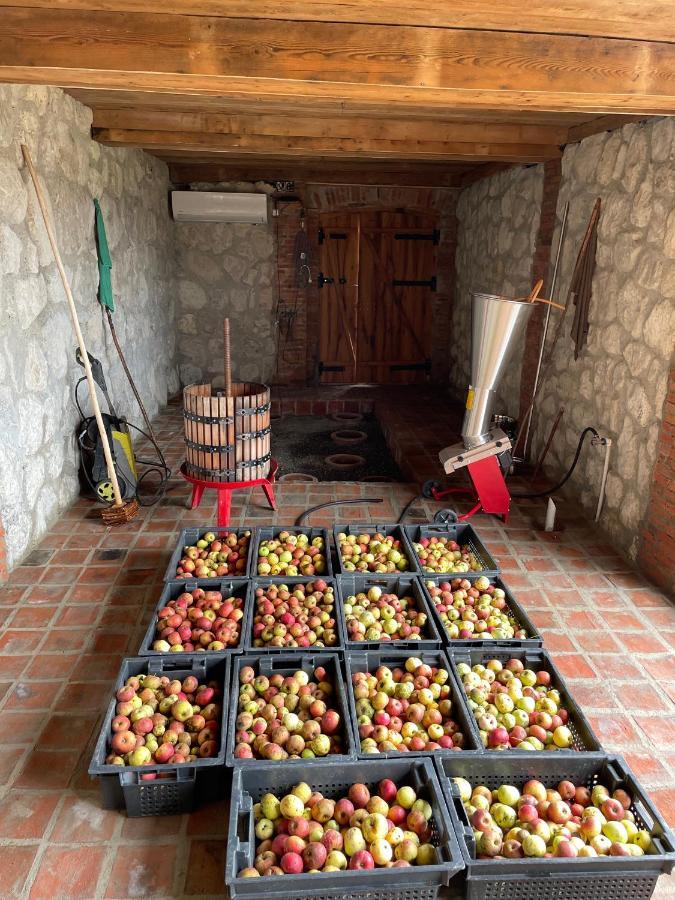 Sadmeli Winery Hotel Ambrolauri Kültér fotó