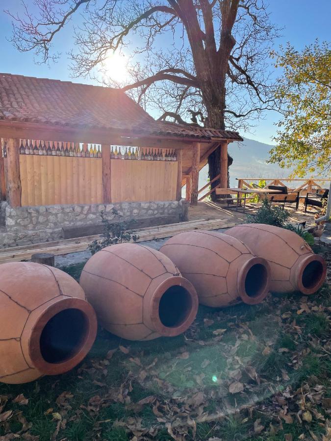 Sadmeli Winery Hotel Ambrolauri Kültér fotó