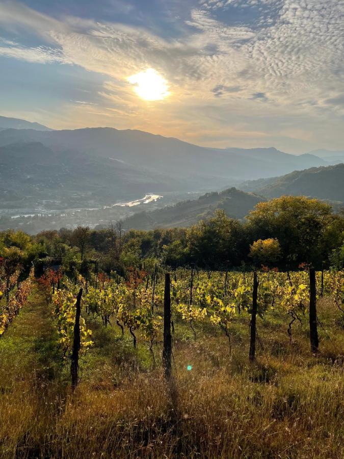 Sadmeli Winery Hotel Ambrolauri Kültér fotó